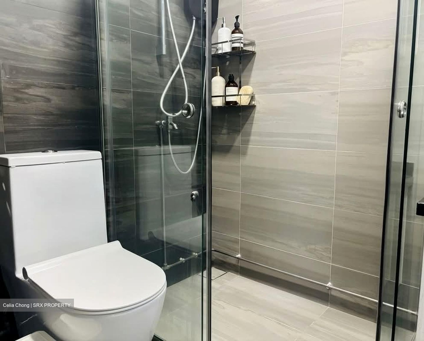 Blk 239 Bukit Panjang Ring Road (Bukit Panjang), HDB Executive #562242721
